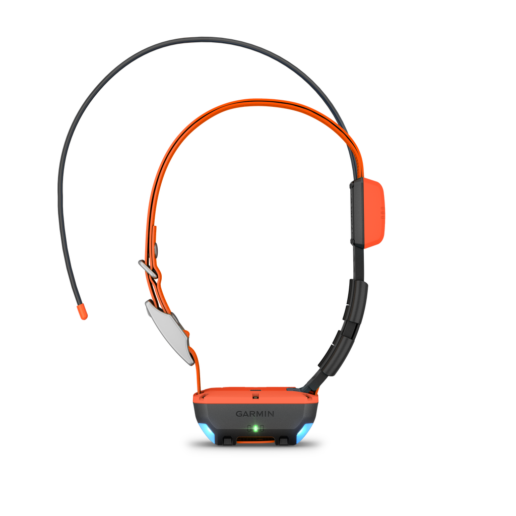 Garmin T20 GPS Tracking Collar for hunting dogs